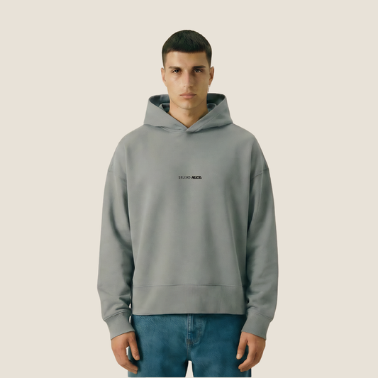 Hoodie - World